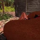 Thumb 56aee8929934e0714b000001