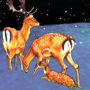 Thumb 5a39d65b73ed172099000001