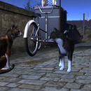 Thumb 6774d0e0cada5c7332bba7e1