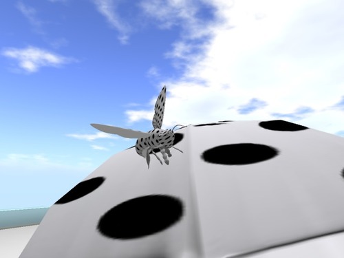 Web 56a2b408128cc965bc000001