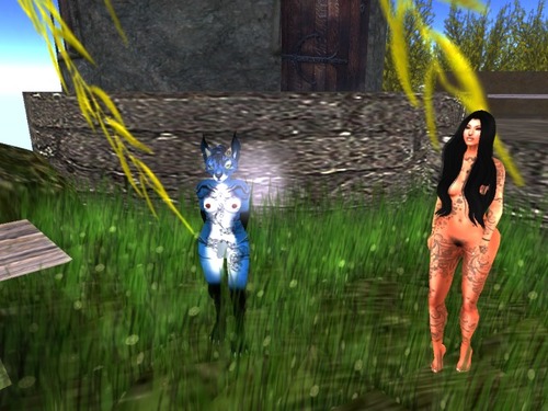 Web 56a2d9b39934e025c1000001