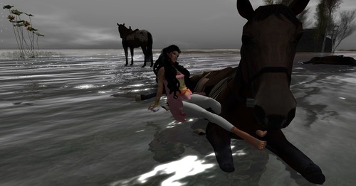 Web 56a373ef3f942f6030000001