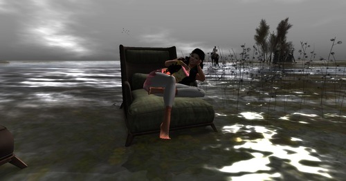 Web 56a37533128cc90209000001