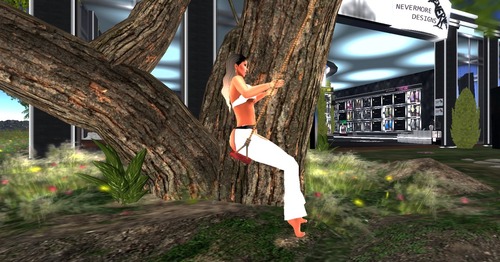 Web 56a571153f942f4a82000001