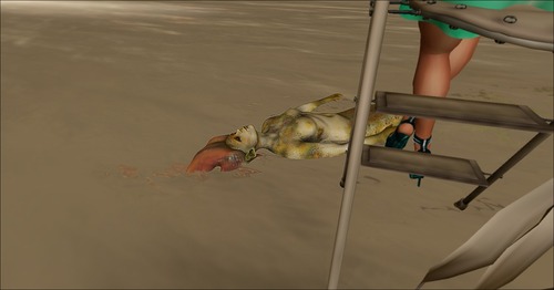 Web 56aafc143f942f6f16000001