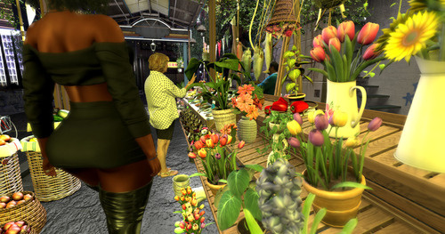 Web 65b850f36908b06d0211a317