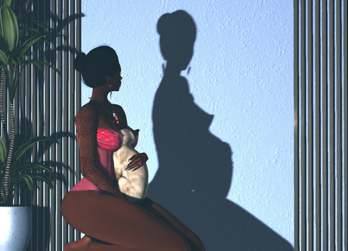 Web 668b41c8c3dd17316b661dfd