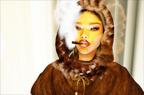 Web 675d0f3ce93e8e0529adb5a7