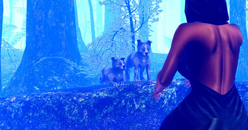 Web 67679f51a35fe713825040e5