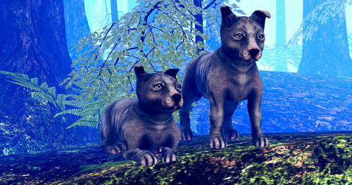 Web 67679f9c67199b58379026f0