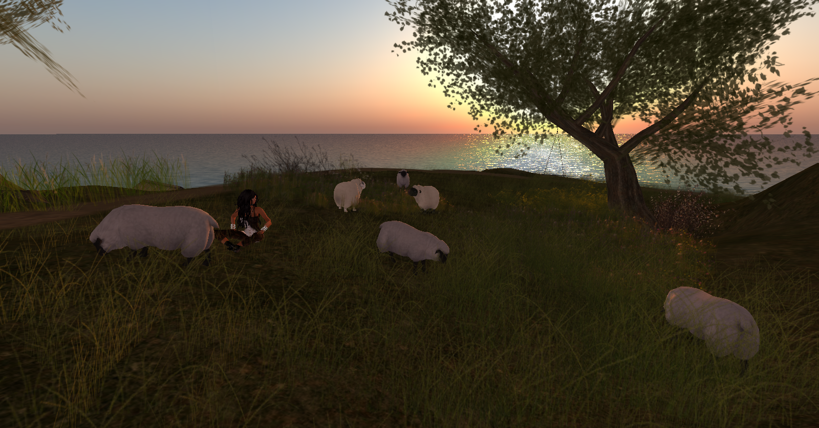 Original 533c57d7128cc938a4000001