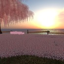 Thumb 55e214ac128cc92895000001