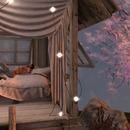 Thumb 56dc8b9ee85cda3f8f000001