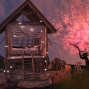 Thumb 56dc8ba5b713f727ea000001