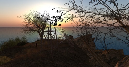 Web 533c5dff8da57222f8000001