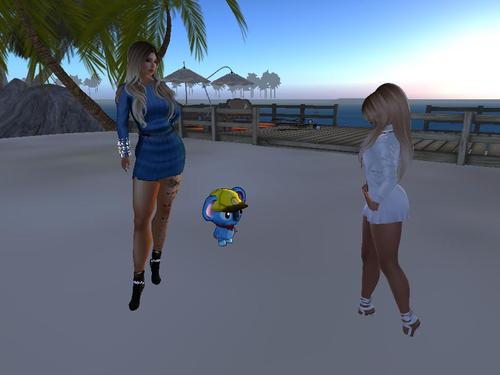 Web 5a895f8bd774f83f7d000001