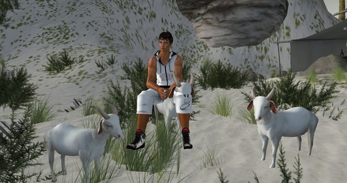 Web 51b0c14b2742f3251a000001