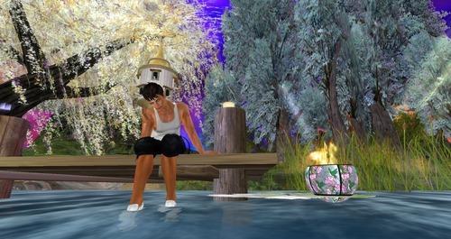 Web 51b3620d934320401e000001