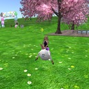 Thumb 514ddbdc91812a6a37000001