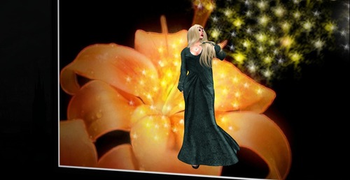 Web 55cf2812a73e216535000001