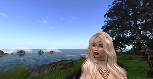 Web 5c99633fd9859c13c3000001