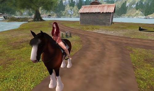 Web 62689b397b8dd71cac656877