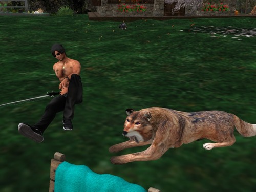 Web 574e86f4f8a1ec2d16000001