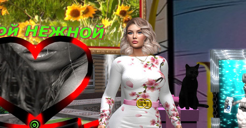 Web 65f88830ad52d94a6baf2f30