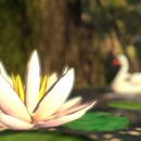 Thumb 53907bcdf8a1ec2e28000001