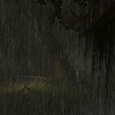 Thumb 557abbae128cc93ae2000001