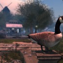 Thumb 557d61b4f8a1ec5612000001