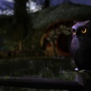 Thumb 5585354af8a1ec4056000001