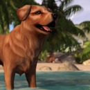 Thumb 57df45afb015403cac000001