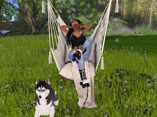 Web 59a5eeb0d774f81363000001