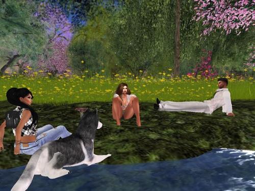 Web 59a5f85d289dd20a74000001