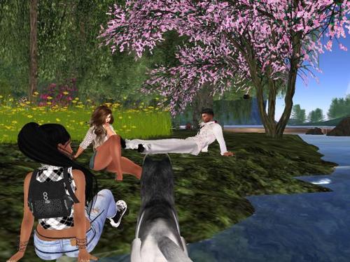 Web 59a5f8bad9859c403c000001