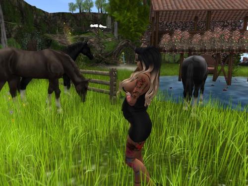 Web 5bc31d0073ed174711000001