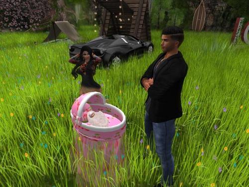 Web 5bca0995289dd2286d000001