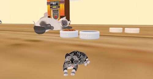 Web 5c1e550f289dd2428b000001