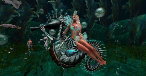 Web 6666156920ed667c97c9928f