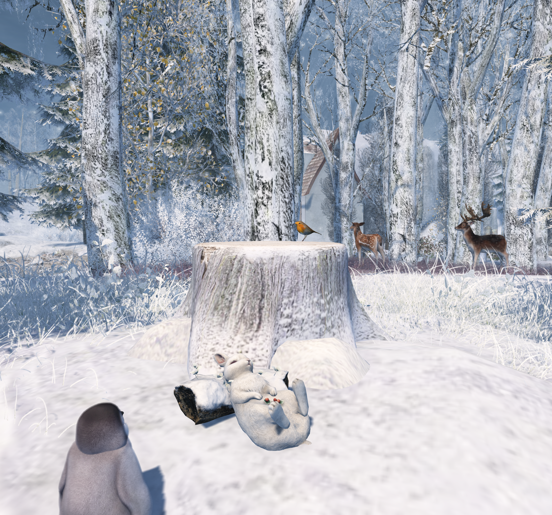 Original 61ad434b3509d70a87ce5b1f