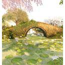 Thumb 5f227cca73ed177a150553ca