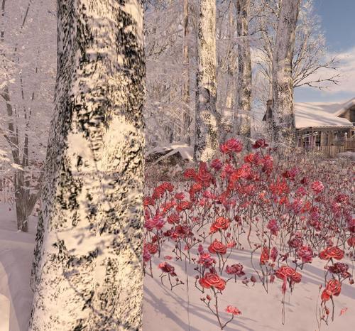 Web 61a655f3cd8dbc096b3b8bf9