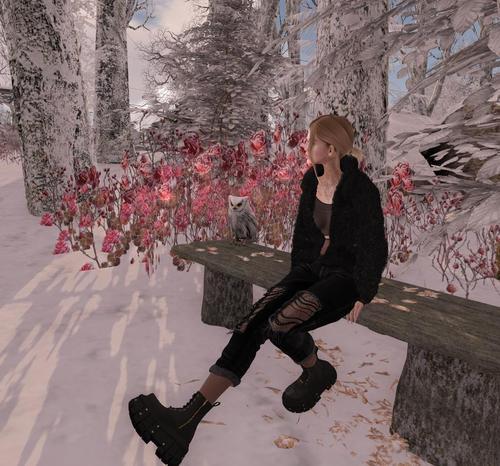 Web 61a670f7fc69d625208a4028