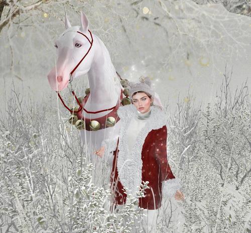 Web 61abfc7bc1de78051144ac29