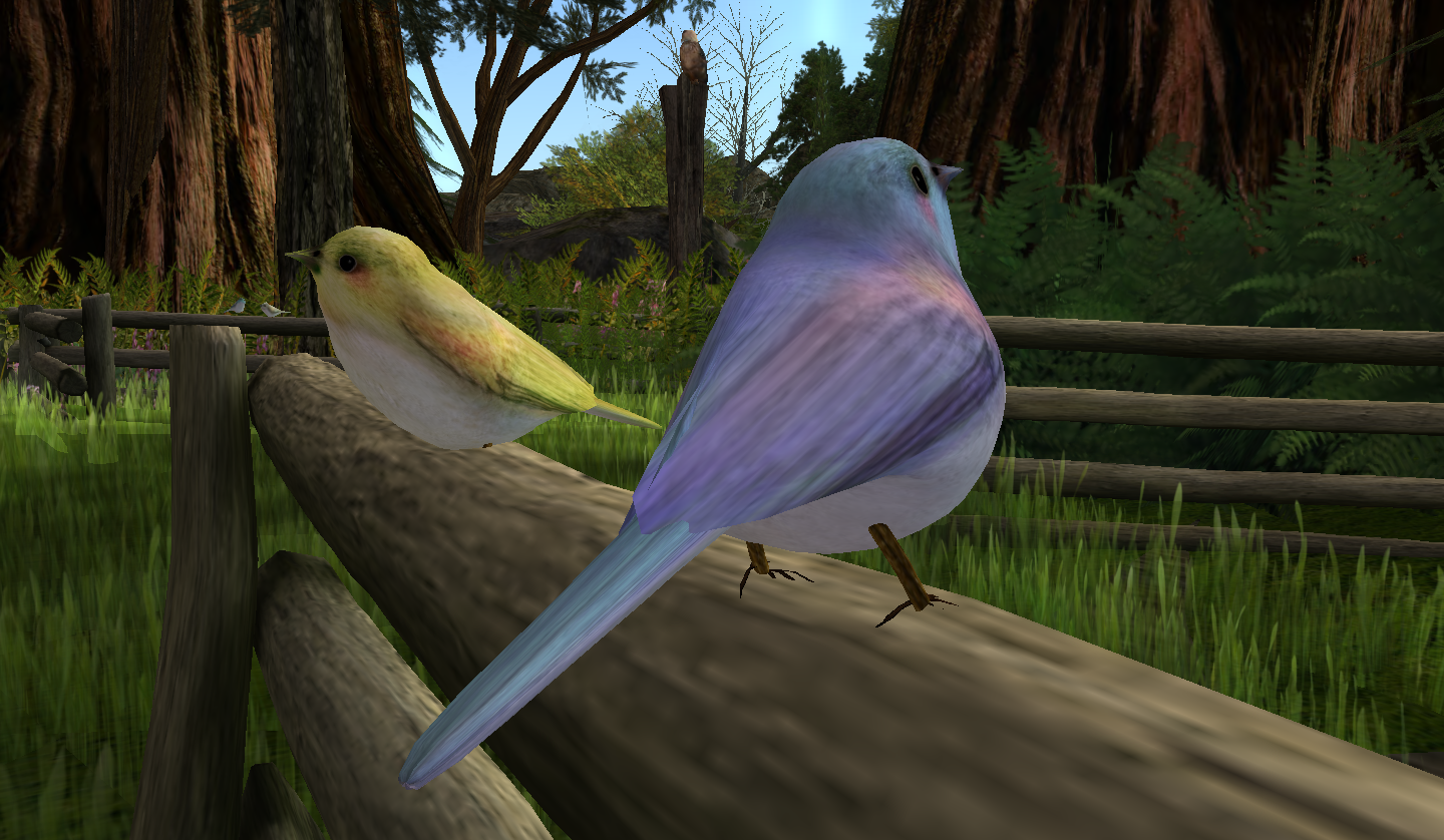 Original 54a2297ca73e2105b6000001