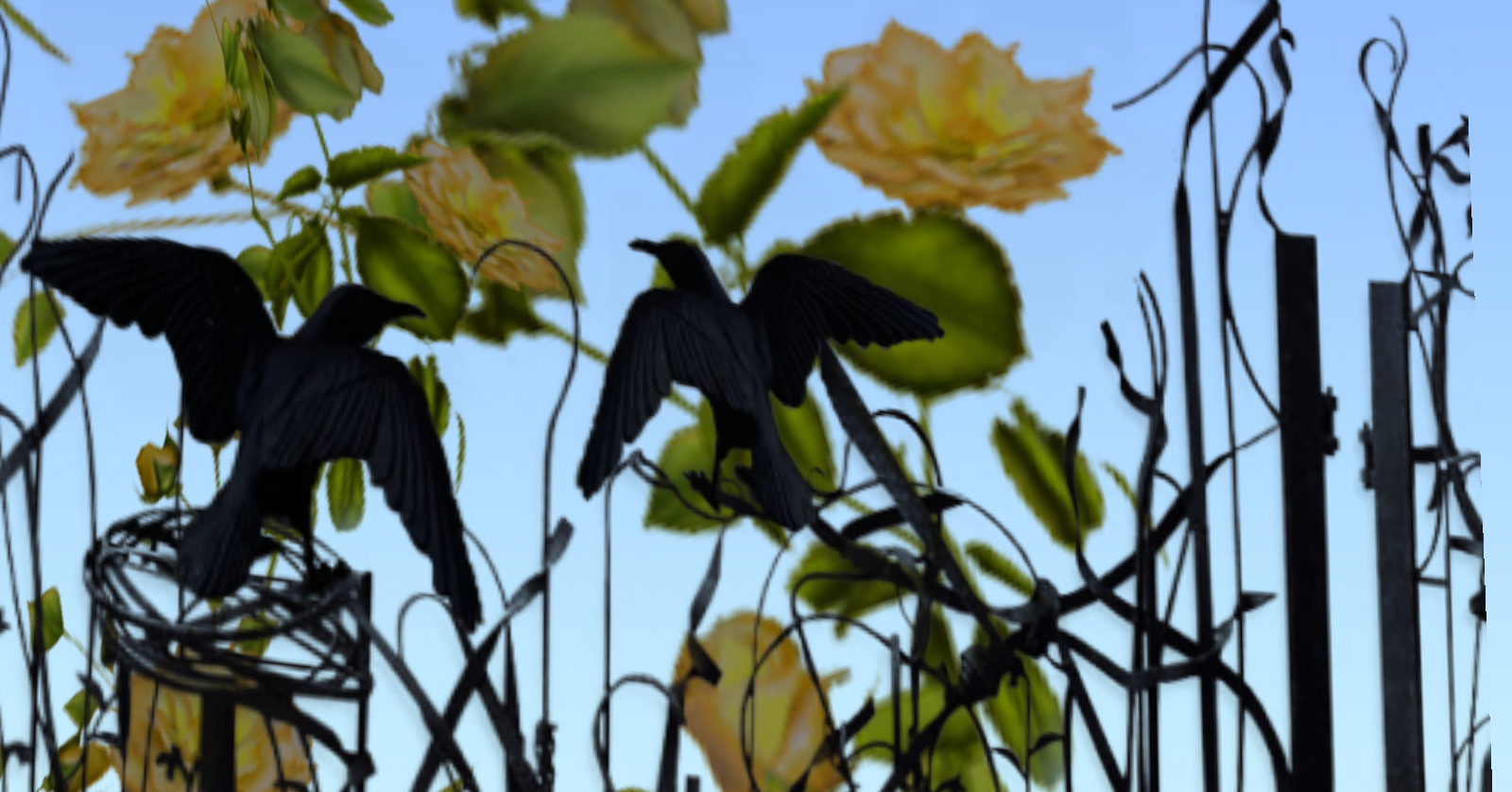 Original 51e8f72a8ef57b4cc3000001