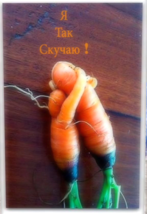 Original 51ea26d60765ee509a000001