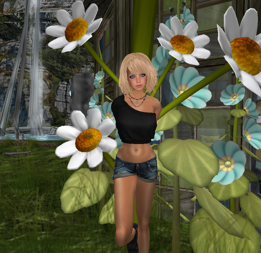 Original 51ed80591fa0127f85000001