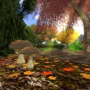 Thumb 526e98fa25b5a368e7000001